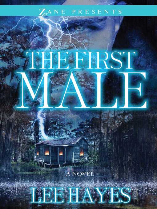 Title details for The First Male by Lee  Hayes - Wait list